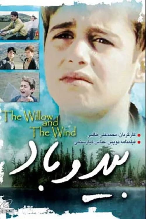 تصویر فیلم بید و باد Bid ve bad