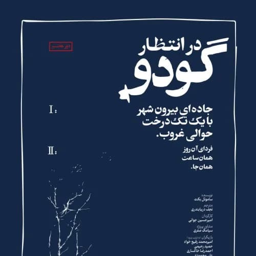 در انتظار گودو